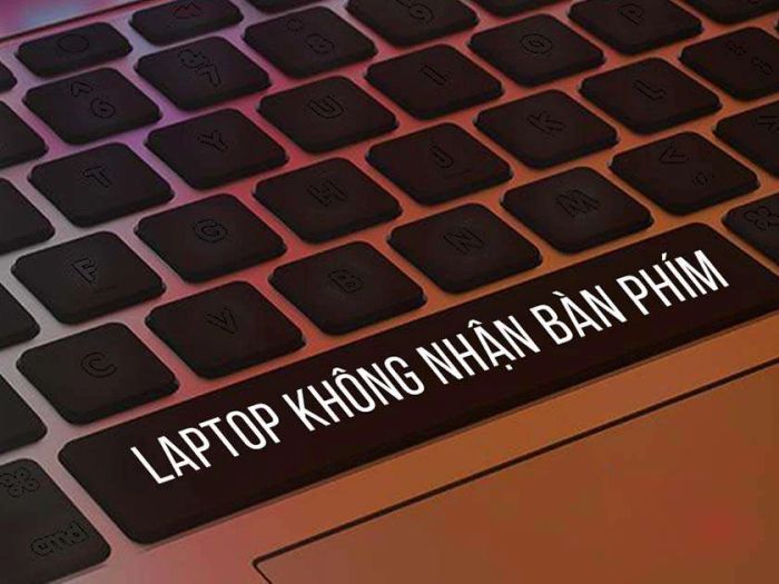 Không nhận bàn phím