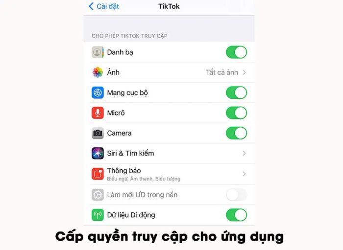 Lỗi TikTok trên iPhone yêu cầu bạn cấp quyền truy cập