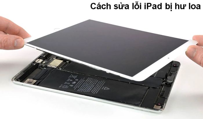 Hướng dẫn khắc phục lỗi loa ngoài trên iPad