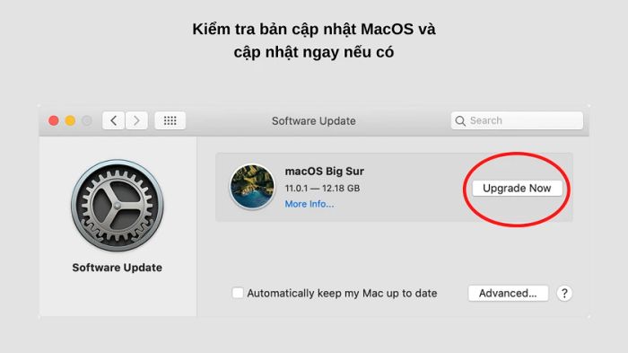 Cập nhật MacOS mới nhất để khắc phục lỗi USB-C MacBook, cổng USB-C không hoạt động trên MacBook