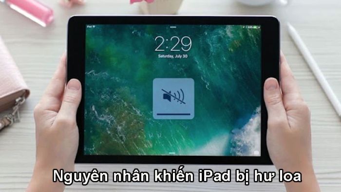 Những nguyên nhân nào khiến iPad bị mất loa ngoài?