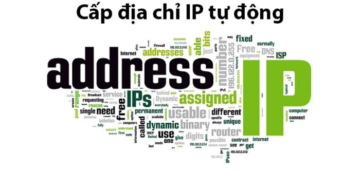 Cấp phát địa chỉ IP tự động