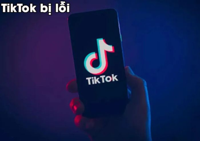Một số lỗi thường gặp trên TikTok bao gồm: ứng dụng không hoạt động, lỗi camera, hoặc TikTok không phản hồi,... mỗi lỗi này sẽ có phương án khắc phục khác nhau.