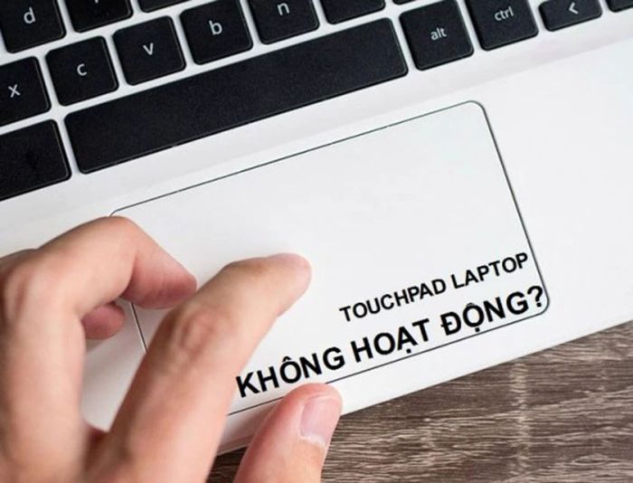 Nguyên nhân chính khiến TouchPad bị đơ có thể do các yếu tố phần mềm hoặc phần cứng.