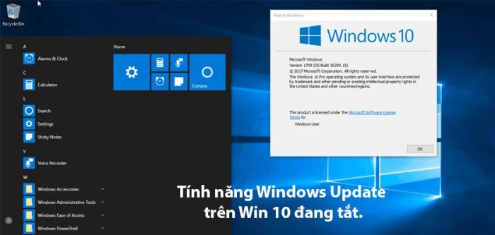 lỗi không thể cập nhật win 10