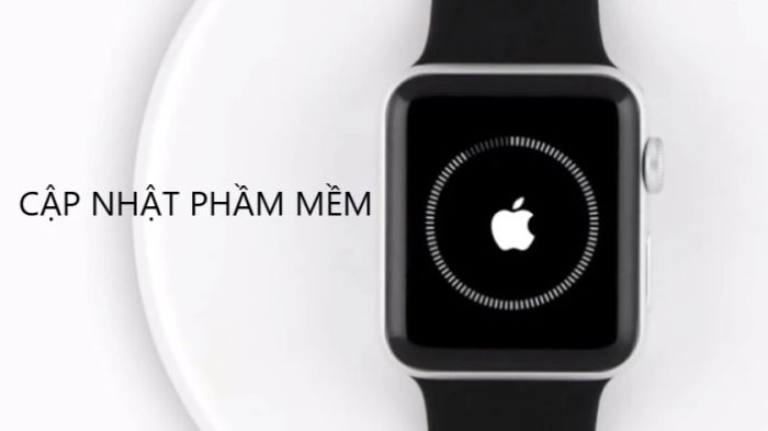 Cập nhật phần mềm WatchOS đầy đủ cho Apple Watch khi bị treo táo