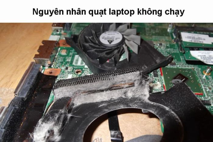giải pháp khắc phục khi quạt laptop không chạy
