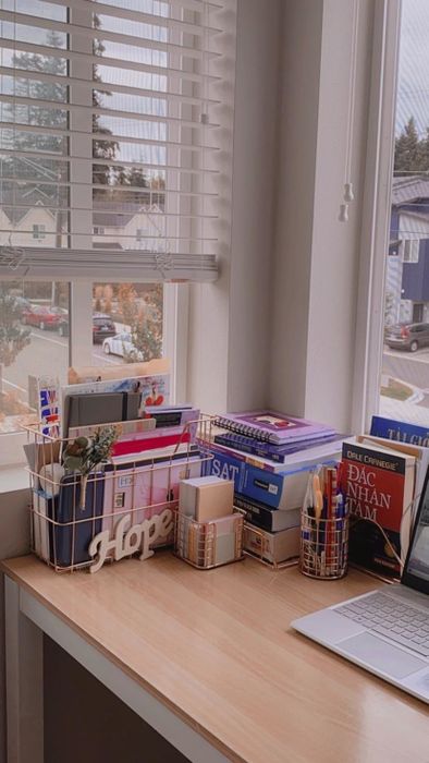 The set on a reviewer's desk holding various office supplies.