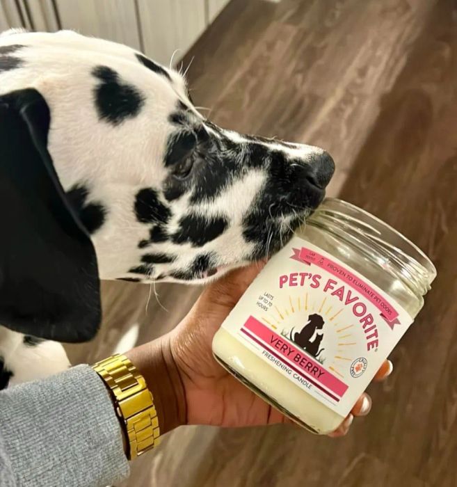 a reviewer holding a berry-scented candle next to their Dalmatian dog