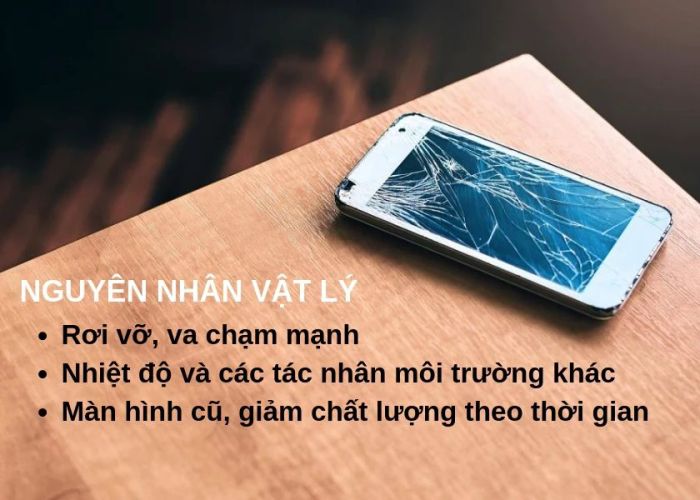 Nguyên nhân gây ra các lỗi màn hình điện thoại iPhone, Samsung, lỗi không điều chỉnh được độ sáng