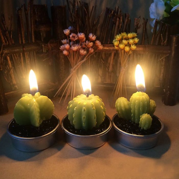 candles sculpted into three different types of cacti, complete with faux soil