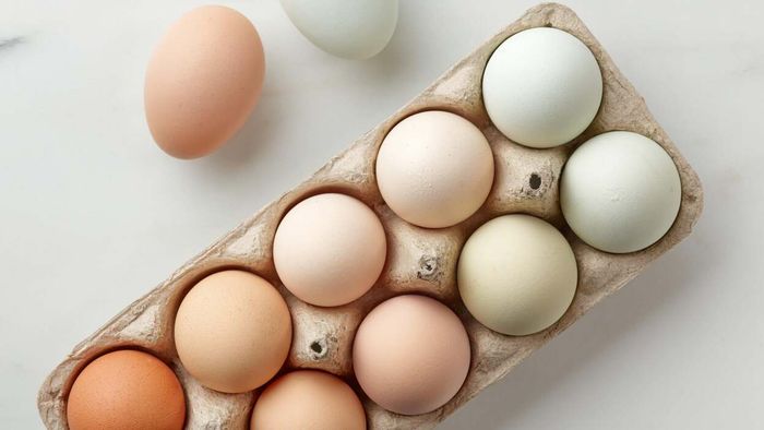 Why Do Eggs Vary in Color, and Does It Really Make a Difference?