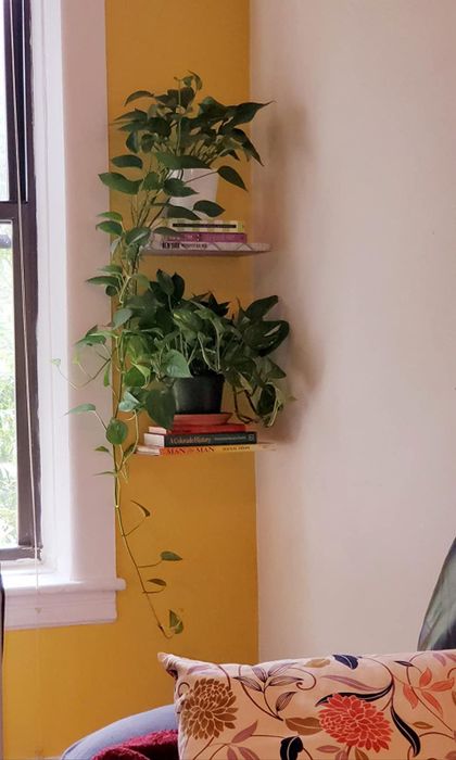 a reviewer decorates the floating shelves with plants and books