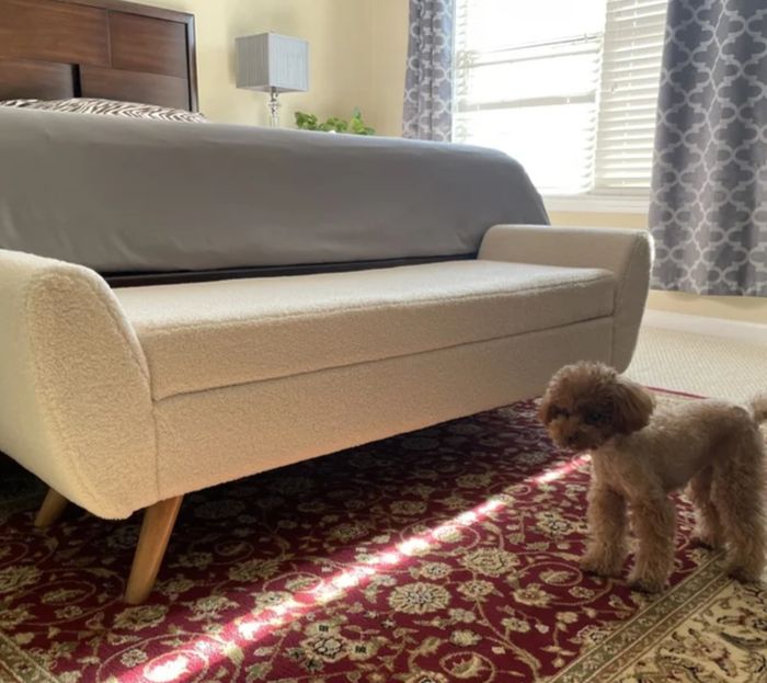 A storage bench positioned at the foot of the bed, with a dog resting nearby.