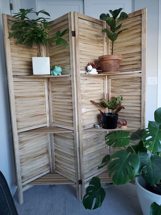 a reviewer's divider filled with an assortment of potted plants