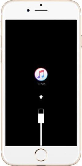 Khắc phục lỗi iPhone không lên màn hình bằng cách sử dụng Recovery qua iTunes