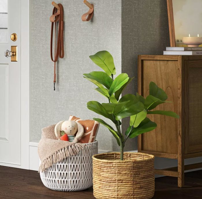 A plant in a basket placed next to a toy-filled basket on the floor, with a leash hanging on wall hooks and a wooden cabinet in the background.