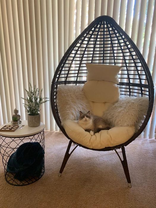 a photo review showing a cat lounging comfortably in the chair inside a home
