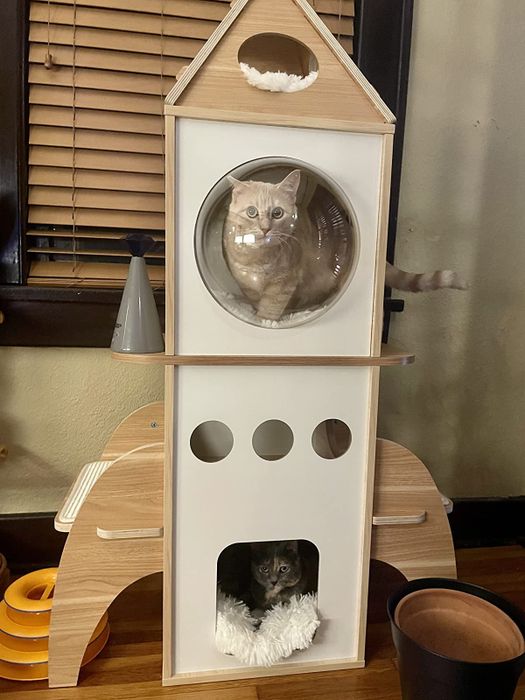 a review photo featuring two cats comfortably lounging inside the rocket ship house