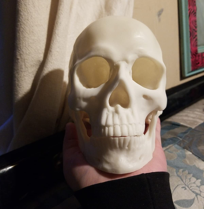 a reviewer’s hand proudly holding the skull