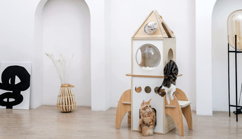 a four-level rocket ship-shaped cat tree with three cats playfully climbing on it
