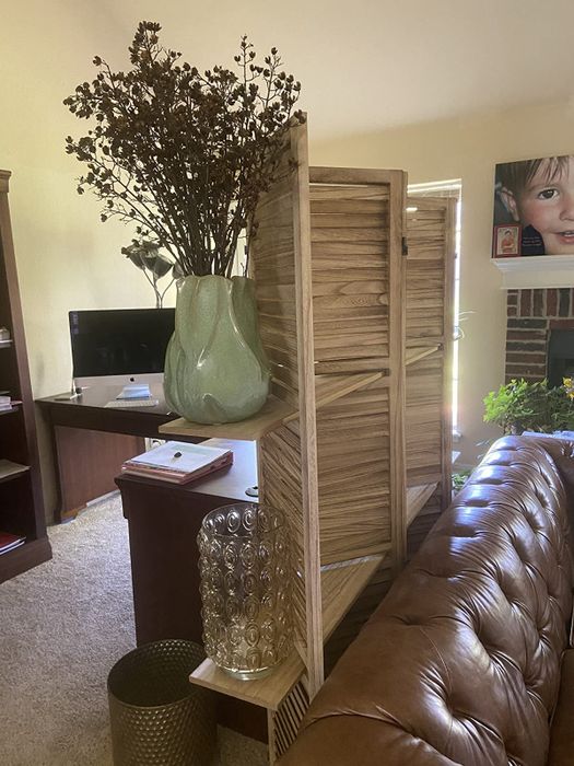 a review photo of the divider with a plant and lamp placed on the shelves