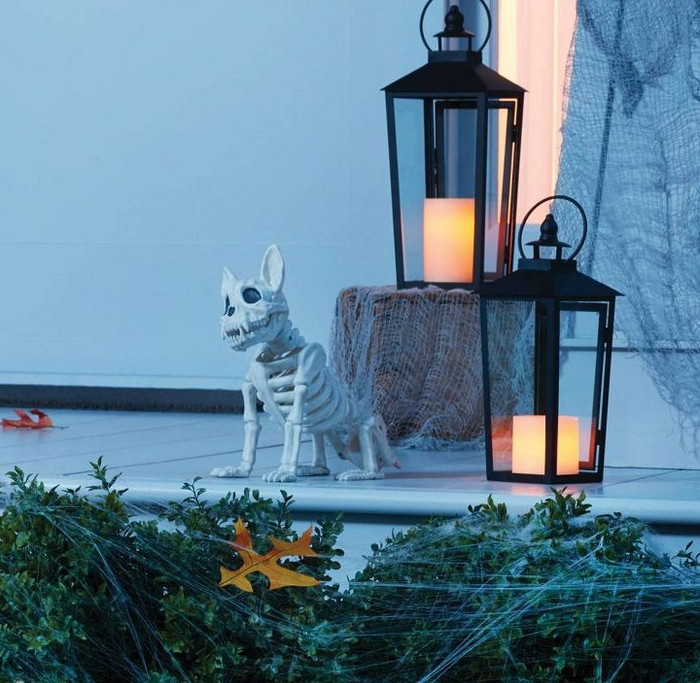 the french bulldog skeleton placed on a front porch