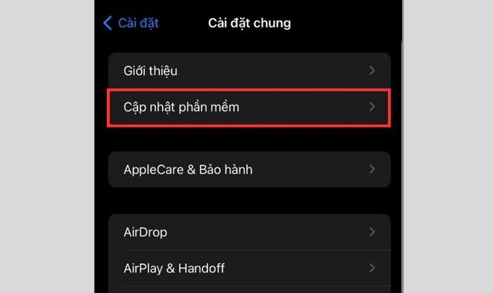 Tại đây, bạn chọn Cập nhật phần mềm