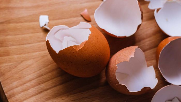 Why Returning Eggshells to the Carton is a Risky Habit