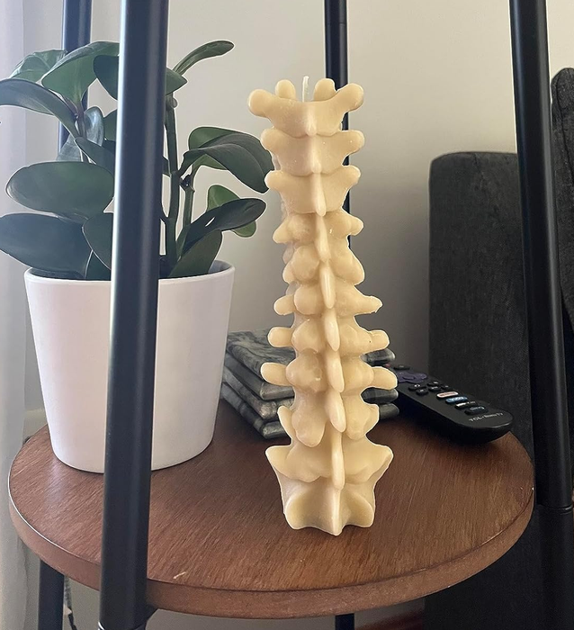 the spine candle sitting on a shelf