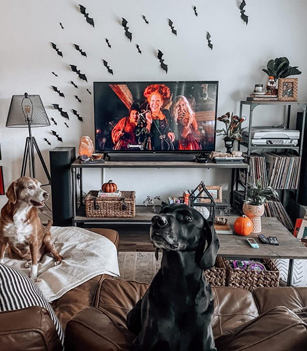 the 3D bats arranged on a reviewer's wall above their TV