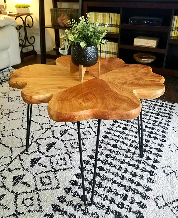 A reviewer’s photo of a wooden coffee table, featuring a small potted plant on top.