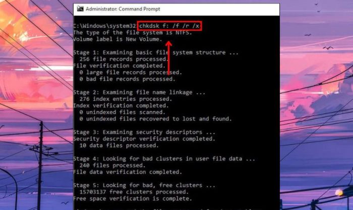 Gõ lệnh chkdsk f:/f/r/x và nhấn Enter để chạy lệnh