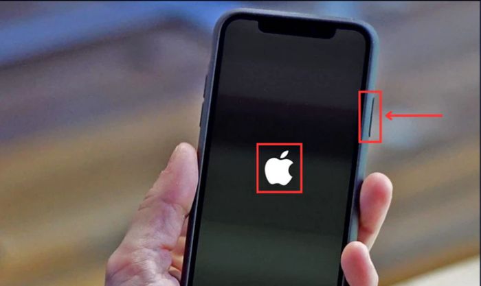 Giữ nút nguồn cho đến khi logo hiện lên