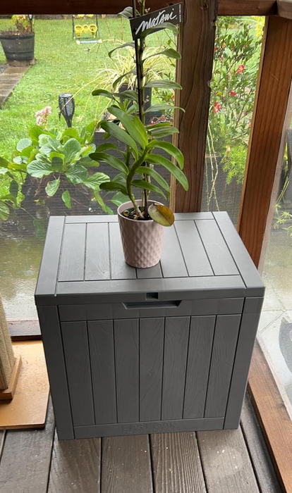 A reviewer’s photo of a closed storage box with a plant resting on top