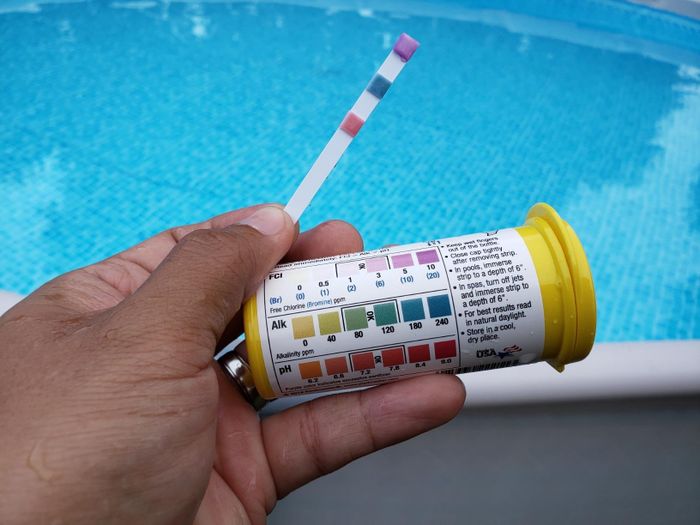 A reviewer holding a tube of test strips alongside one that's been used to check the water quality