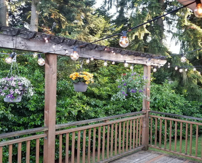 The string lights lit up during the day, draped over a backyard deck.