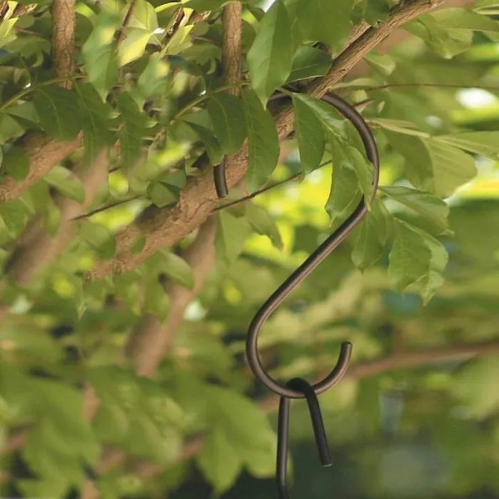 A garden hook hanging from a tree branch