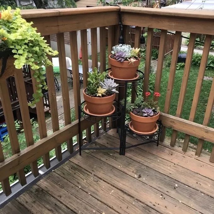 Reviewer's photo showing potted succulents placed on a plant stand on their deck