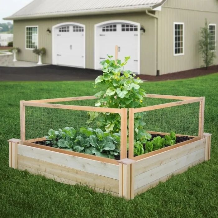 Fencing placed around a garden bed