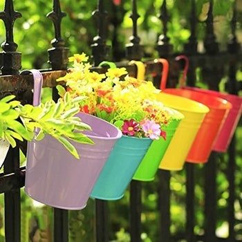 A row of vibrant buckets filled with plants