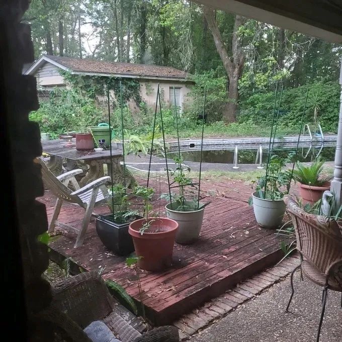 Recommended plant supports for use in pots