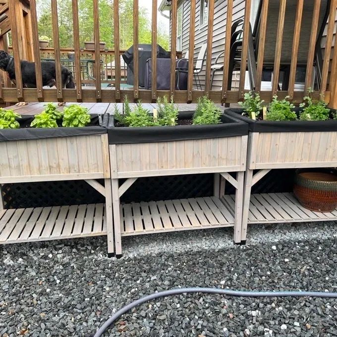 Reviewer photo showing raised beds with thriving plants