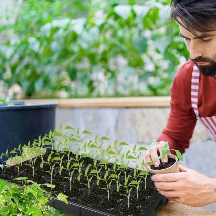 A person planting seeds using the seed starting kit