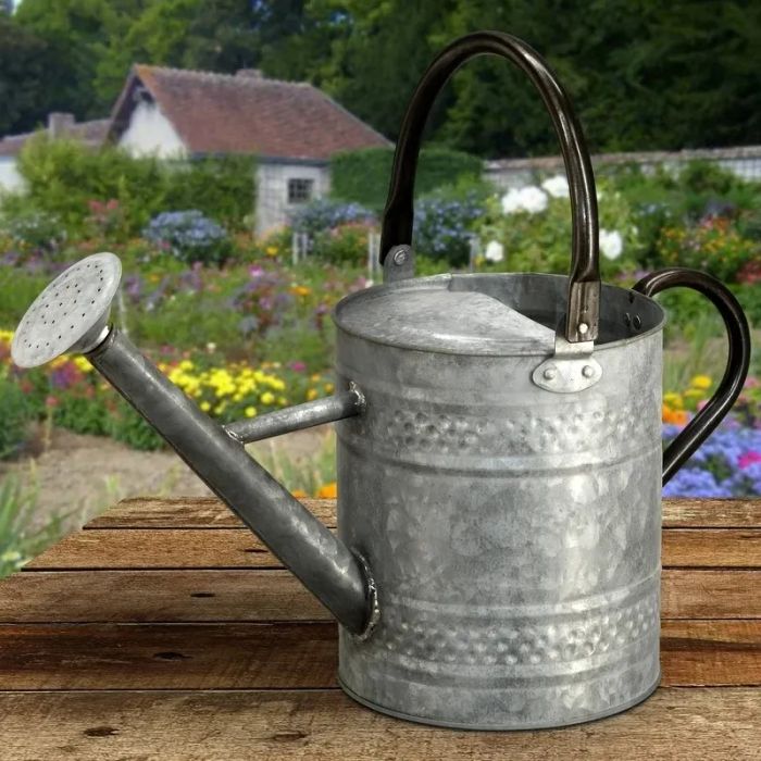 An image showcasing the galvanized watering can.