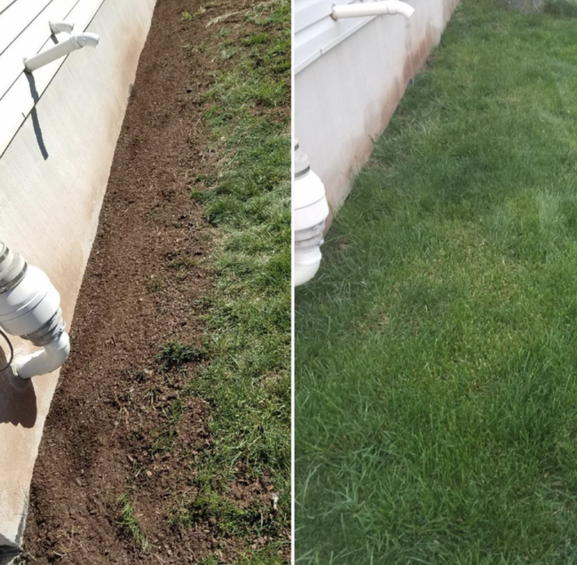A reviewer's patchy lawn before using the product / A lush, green lawn after using the product