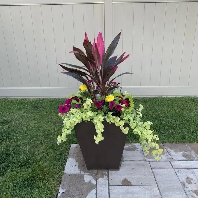 Reviewer photo of a planter filled with vibrant plants in their backyard