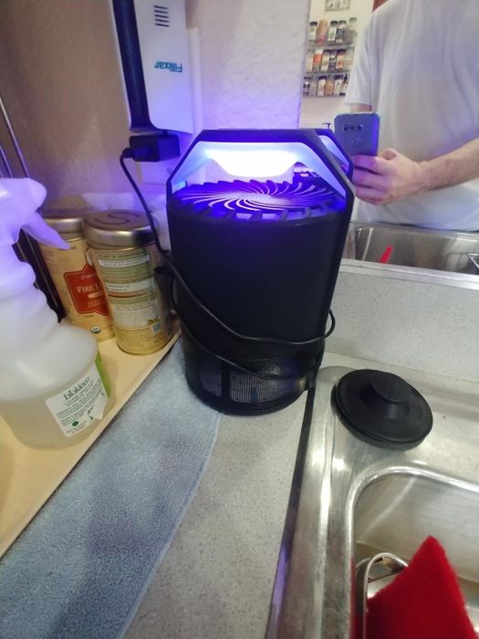 reviewer image of the UV light trap in action