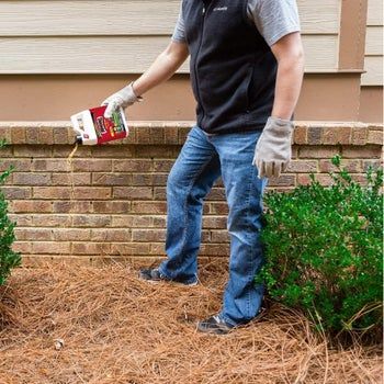 Model shaking the granules around the perimeter of a house