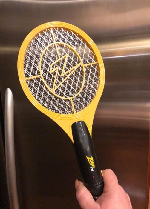 image of reviewer holding the electric swatter up